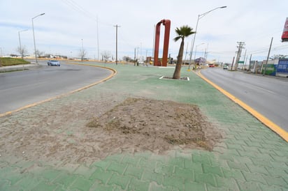 Donde hubo palmera, la tierra queda
Sin una planeación adecuada, la tierra permaneció en este sitio, como el recuerdo de que un día estuvo plantada una palmera, la cual no fue sustituida, ni la zona
rehabilitada con adoquín o cemento.