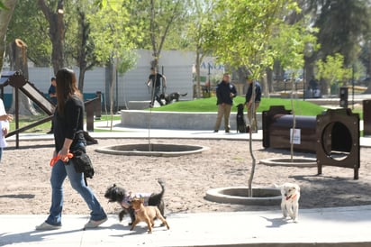 Se colocaron juegos, bebederos, una duna de pasto sintético y todo lo necesario para que los perros puedan estar. (Foto: FERNANDO COMPEÁN / EL SIGLO DE TORREÓN)