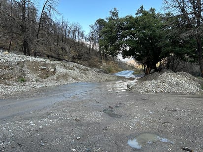 (Foto: ISABEL AMPUDIA / EL SIGLO COAHUILA)