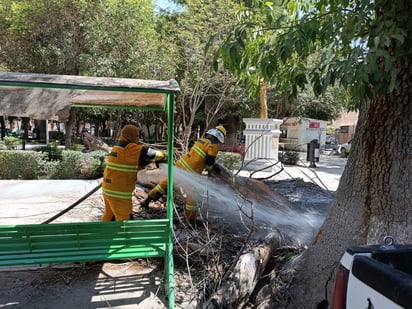 La emergencia ocurrió en la Plazuela Juárez de Lerdo. (EL SIGLO DE TORREÓN)