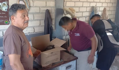El personal de Protección Civil trasladó al animalito al zoológico de Monclova.