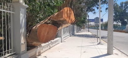 (EL SIGLO DE TORREÓN)