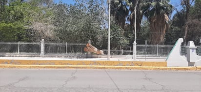 (EL SIGLO DE TORREÓN)