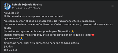 Tras su detención, fueron rescatados 10 perros.