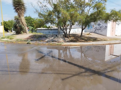 Vecinos de Hacienda La Noria se dijeron sorprendidos, puesto que los días anteriores no había presión en las líneas y esto les estaba generando problemas con el abasto de agua, presentándose al mismo tiempo una fuga.