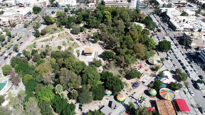 En el último año, Coahuila registró el mayor porcentaje de pérdida de superficie cubierta de árboles en el país, según IMCO. (EL SIGLO DE TORREÓN)