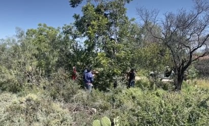 El avistamiento de osos en Saltillo ha sido menor en comparación al año pasado.