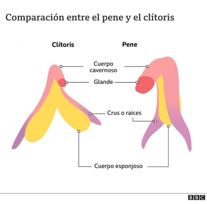 Crédito: BBC