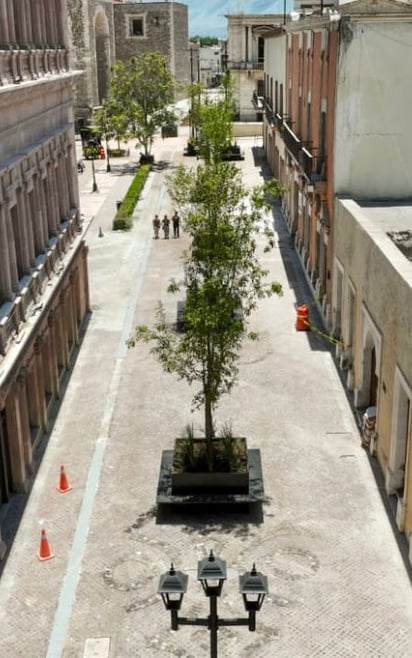 Los trabajos del proyecto peatonal Paseo Capital registra un avance del 70 por ciento. (ESPECIAL)