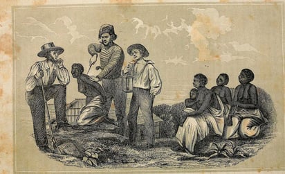 Supremacistas blancos emplearon la frenología para justificar la esclavitud. 