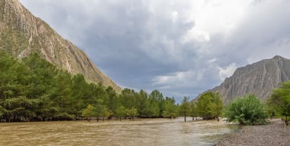 El estudio busca establecer medidas de conservación en una región que no ha visto la creación de una ANP federal desde 1979.