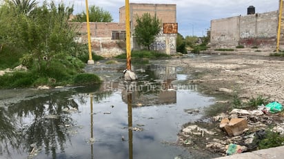 El Siglo de Torreón 