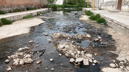 El Siglo de Torreón 