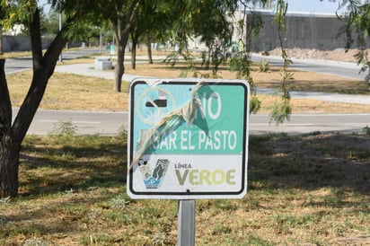 Vegetación. Además de la señalética en mal estado, las áreas que deberían lucir verdes están secas y sin vida. Cabe mencionar que la ciudad de Torreón apenas tiene cuatro metros de área verde por habitante.