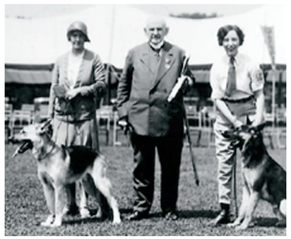 Von Stephanitz durante su estancia en Estados Unidos
En 1930, juzgó perros pastores alemanes en el Morris & Essex Show.