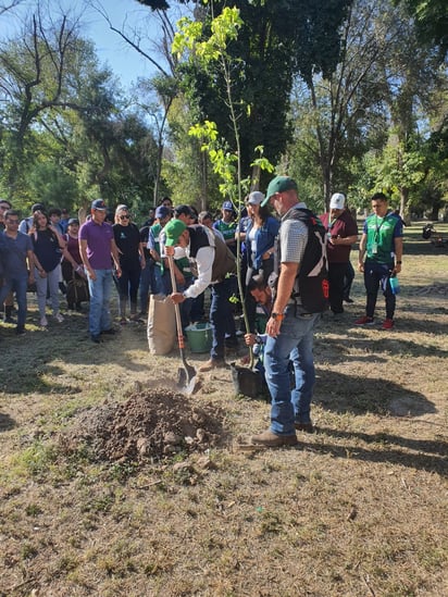 Reforestación en el bosque Venustiano Carranza (EL SIGLO DE TORREÓN)