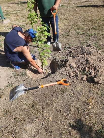 Reforestación en el bosque Venustiano Carranza (EL SIGLO DE TORREÓN)