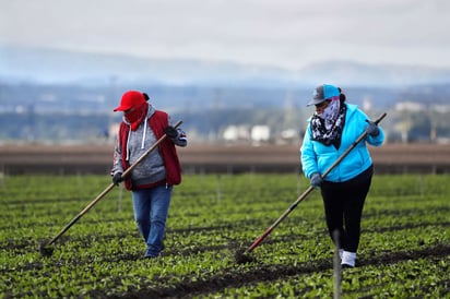 Las inmigrantes latinas en Estados Unidos reportan aumento de peso debido a factores como los cambios alimenticios de país a país, el estrés o el aislamiento social. Foto: Reuters