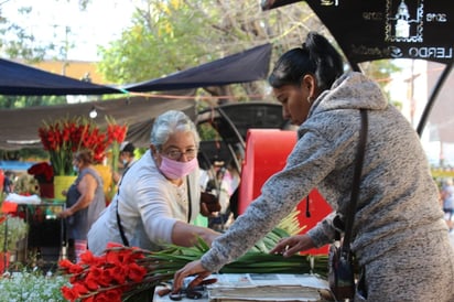 Día de Muertos en Lerdo.