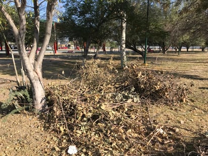 Sin atención. Además de la basura, la falta de mantenimiento por parte de las autoridades provoca escenas como la se ve en la imagen.