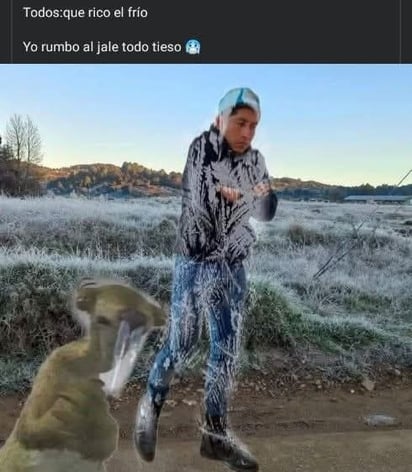 Frío en La Laguna (MEMES)