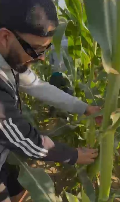 Venta de elotes 'El Chino Natacho' en La Laguna.