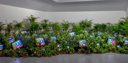 'TV Garden' (1974), de Nam June Paik.