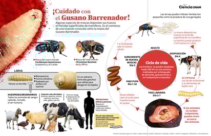 (UNAM)