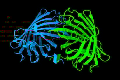 Imagen generada por AlphaFold, sistema de inteligencia artificial que permite predecir la estructura de proteínas. Imagen: AlphaFold