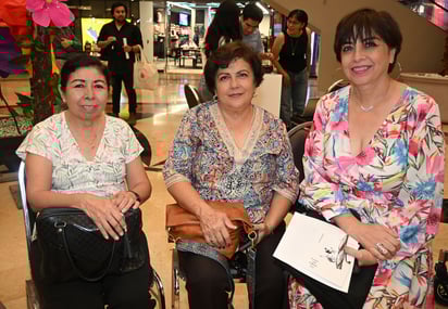 Mirna Salas, Alicia Serna y Arcelia Ayup.