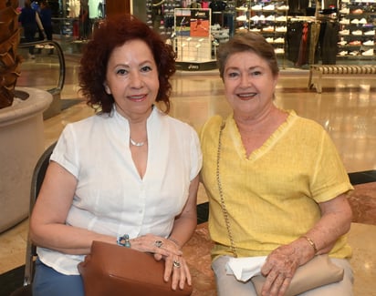 Cecilia Sandoval y Luz María Villalobos.