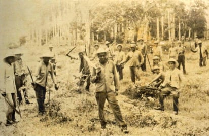 Prisioneros de las UMAP. Foto: Wikimedia
