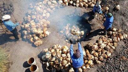 Cocimiento de piñas de sotol para su destilación en la vinatería Don Celso, en Chihuahua. Imagen Max Kelly Photography.