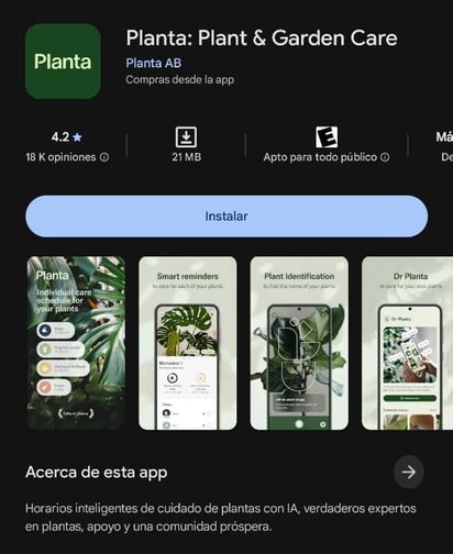 Captura de pantalla / Google Play