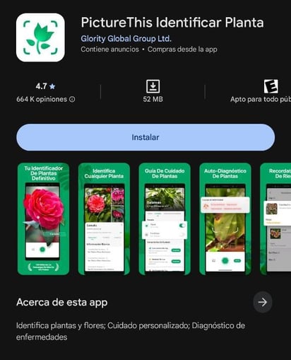 Captura de pantalla / Google Play