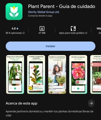 Captura de pantalla / Google Play