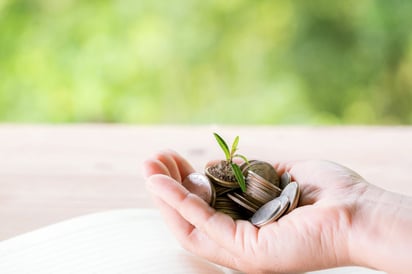 Donar a organizaciones dedicadas a la protección del medio ambiente es más efectivo que destinar dinero extra a la compra de productos que se venden como sostenibles. Imagen: Freepik