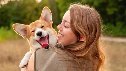 Amantes de los perros (ESPECIAL)
