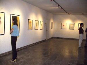 Galería de Rafael Coronel