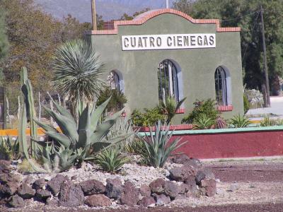 Imágenes de Cuatrociénegas Coahuila