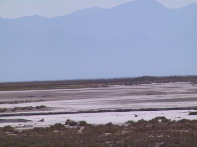Imágenes de Cuatrociénegas Coahuila