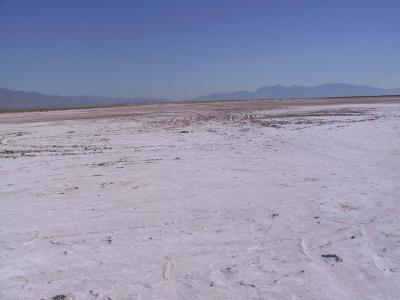 Imágenes de Cuatrociénegas Coahuila