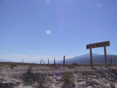 Imágenes de Cuatrociénegas Coahuila