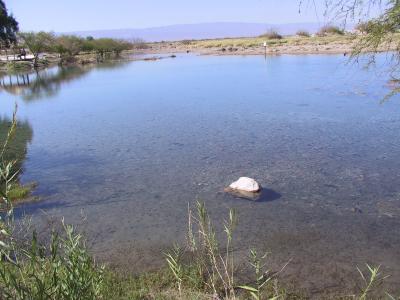 Imágenes de Cuatrociénegas Coahuila