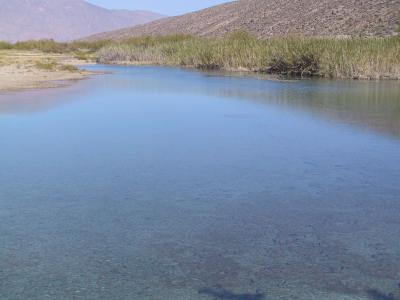 Imágenes de Cuatrociénegas Coahuila