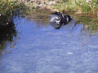 Imágenes de Cuatrociénegas Coahuila