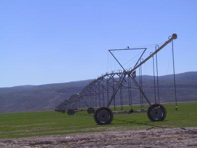 Imágenes de Cuatrociénegas Coahuila