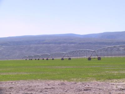 Imágenes de Cuatrociénegas Coahuila