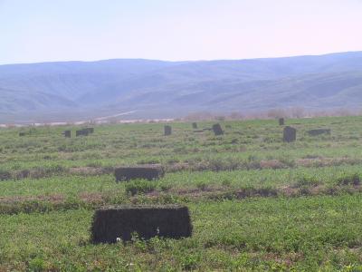 CUATROCIÉNEGAS COAHUILA