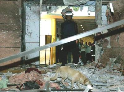 Al menos 40 personas murieron y unas 100 resultaron heridas en los atentados suicidas registrados la noche del viernes en Casablanca, dijeron fuentes diplomáticas en la capital de Marruecos, Rabat.
  Entre los blancos se encontraban un centro comunitario judío y un club y restaurante español en el centro de Casablanca